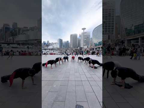 Try the pushup challenge with us! 💪 #enhypen #knife #엔하이픈 #pushupchallenge #kpopinpublic