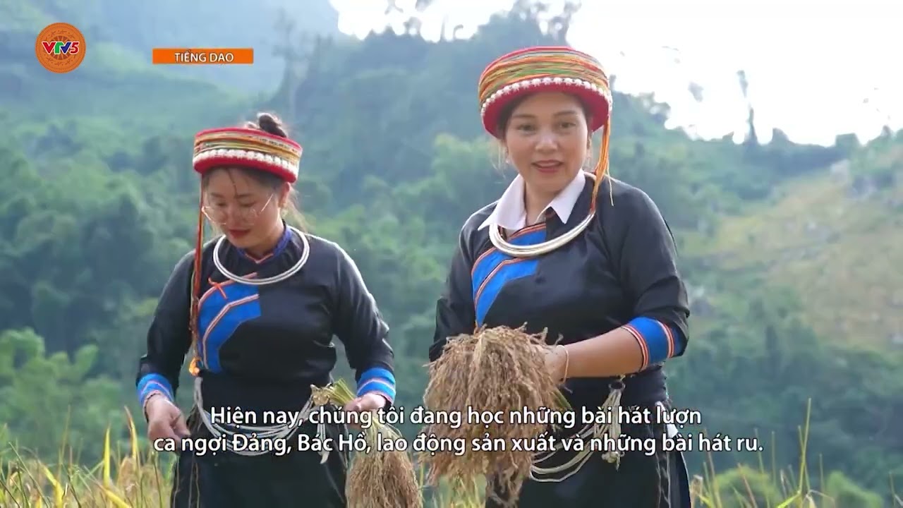 [TIẾNG DAO] MÙA VÀNG VÀ CÂU HÁT PẢ DUNG CỦA NGƯỜI DAO ĐỎ | VTV5