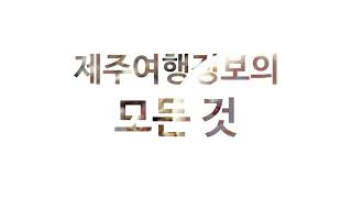 제주여행정보의 모든 것. 제주니아!