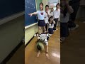 磁石がくっついた罰ゲームを行え!@tacoglamp