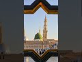 Naat Shareef 🕋♥️ #naat #shortsfeed