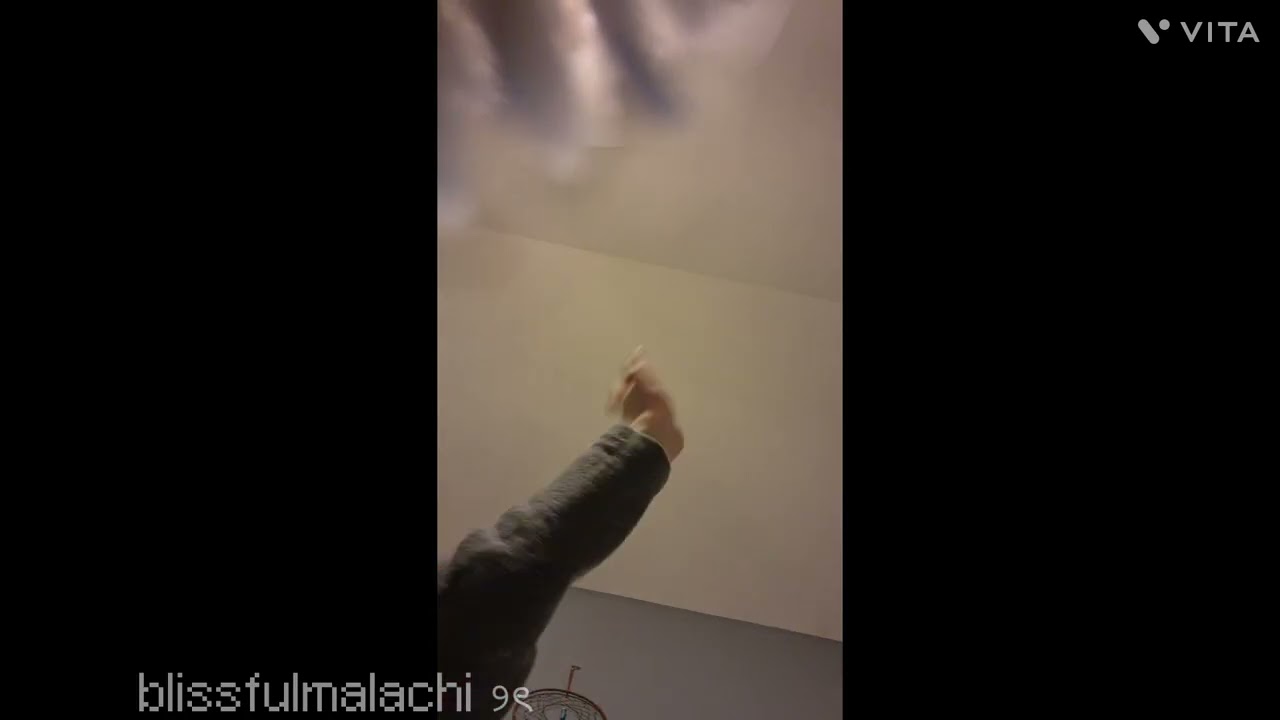 ୨ৎ blissfulmalachi [𝐕𝐋𝐎𝐆] 