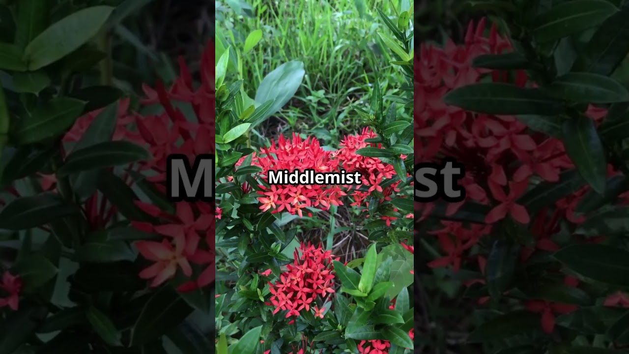 Discover the worlds rarest plants