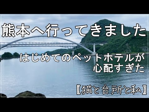 【Vlog】＃60 熊本へ旅立つ｜りんちゃん初めてのペットホテル