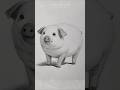 How To Draw Pig | It Doesn't Even Look Hand Drawn #minipig #piggy ##shorts