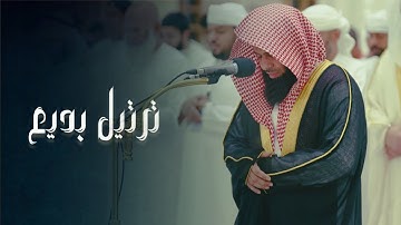 صلاة المغرب تلاوة ما تيسر من سورة النور لفضيلة الشيخ أنس العمادي | 29-5-1446 هـ