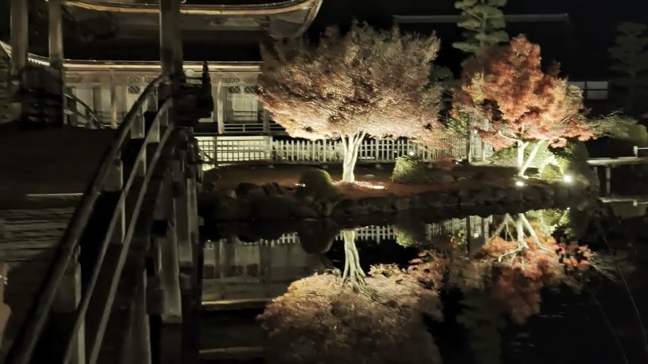 【虎渓山永保寺　もみじライトアップ】　岐阜県多治見市（たじみし）　2025年11月22日（土）