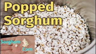 Popped Sorghum vs Popcorn