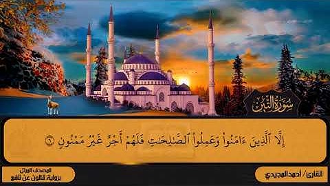 95 سورة التين بصوت القارئ أحمد المجيدي برواية قالون