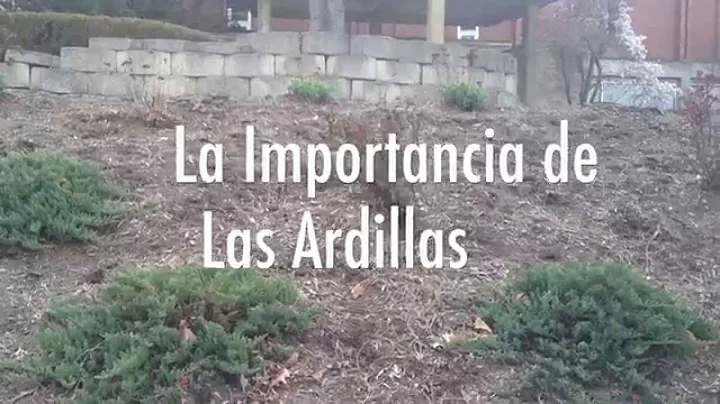 SPAN 203  Spanish Conversation & Debate Nature Doc...