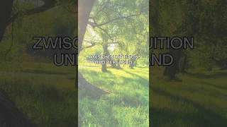 Zwischen Intuition und Verstand - Lilith Opposition Merkur am 25.05.2026  um 19:11 Uhr
