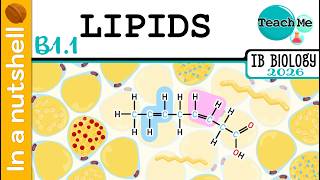 (B1.1) - Lipids [In A Nutshell] - IB Biology (SL/HL)