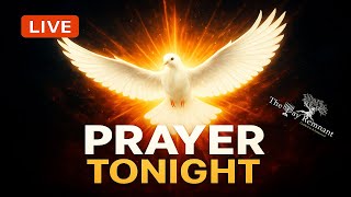 LIVE Prayer & Ministry!
