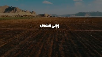 أفلا ينظرون إلى الإبل كيف خلقت - تلاوة خاشعة
