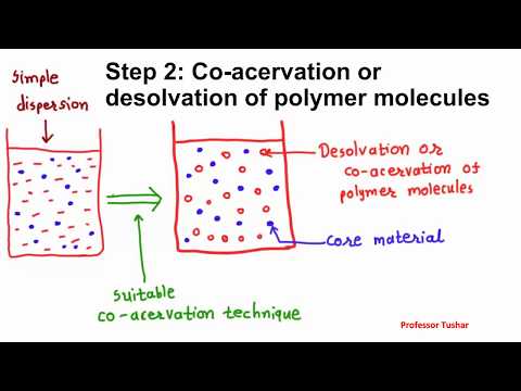 Vidéo: Différence Entre Les Coacervats Et Les Microsphères