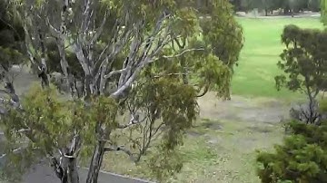 Syma X5C-1 test flight and first video