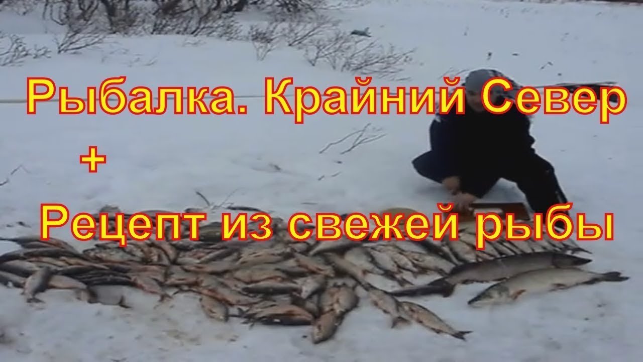 Рыбалка сетями зимой на Крайнем Севере. +Рецепт  из рыбы