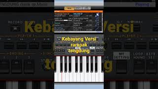 Download Lagu kebayang versi tengdung MP3