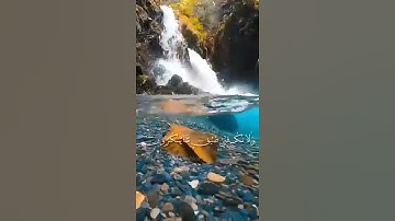 واصبر وما صبرك إلا بالله .. | سورة : النحل | آية : «127»«128»