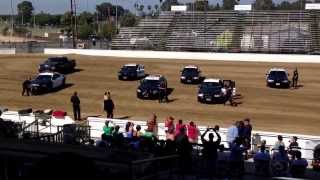 Police dog k-9 show