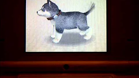 How to Name Ur Nintendog