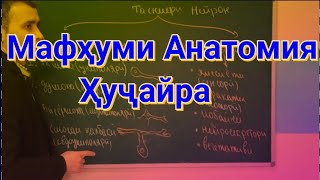 Биология синфи 9.| Дарси 01.| Анатомия ва физиологияи Ҳуҷайра screenshot 2