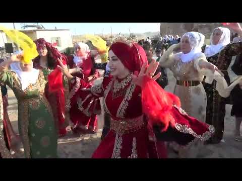 Mardin Savur Yazır köyü düğünü