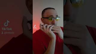 Love Story Short Video, Harmonica Cover