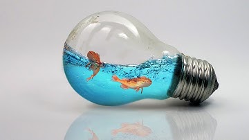 Photoshop Tutorial | Photo Manipulation | Water Splash in Bulb