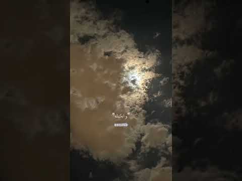 مسلم متزعلش بقيت بخاف المس حاجه اكسرها