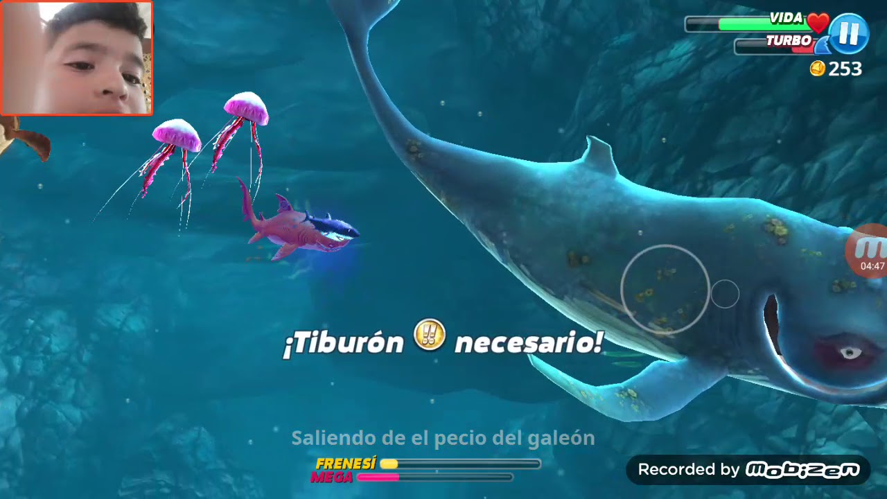 Conseguí el tiburon de arena por