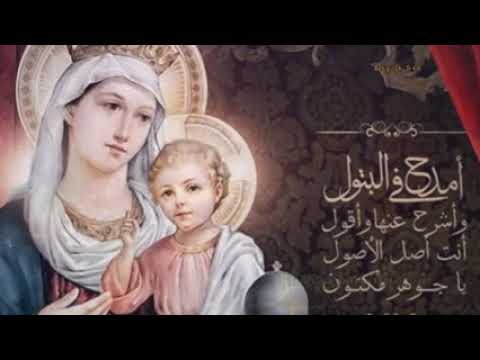 انتي الشفيع الأكرم