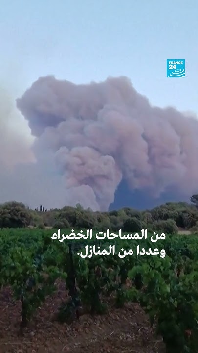       24 / FRANCE 24
 - نشر قبل 2 ساعة