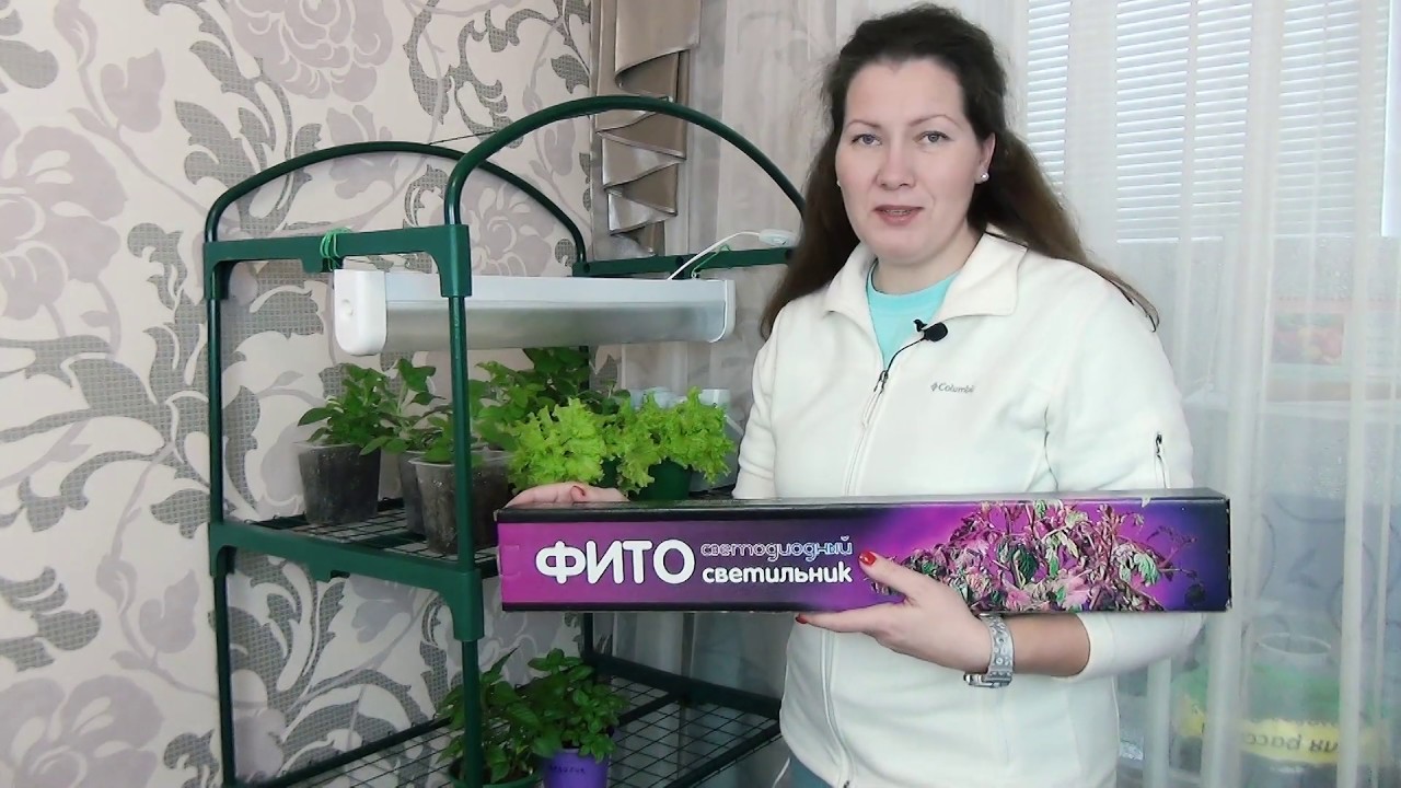 Белая Аллея Интернет Магазин Отзывы