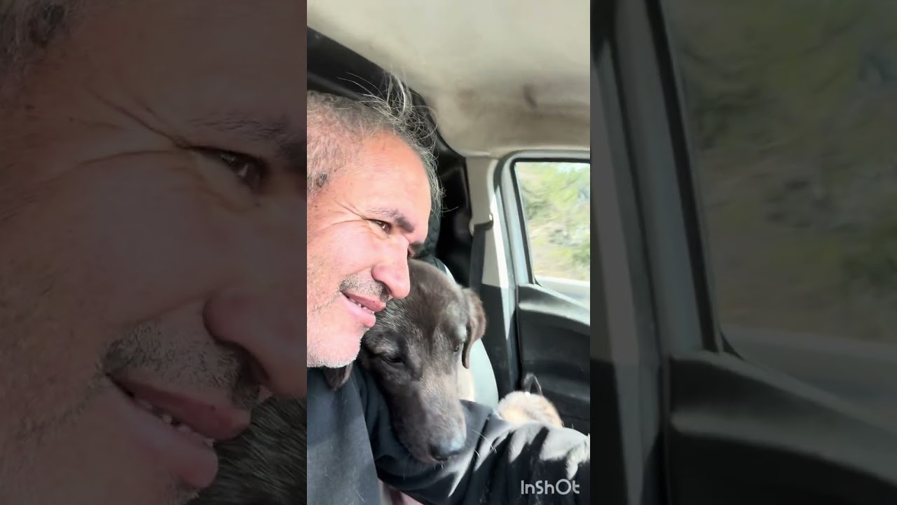 Yeni evine ulaştı garibim ❤️❤️merak edilenler üzülenler için 