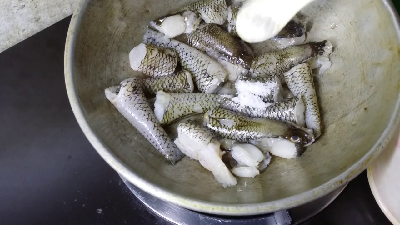 Baila Fish Recipe, Sand Goby Fish Curry Recipe .... Traditional Bengali  curry !!!!!!!