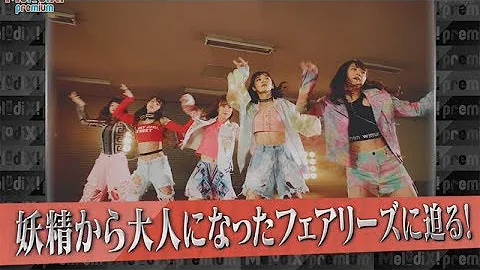 تحميل フェアリーズ バズリズム