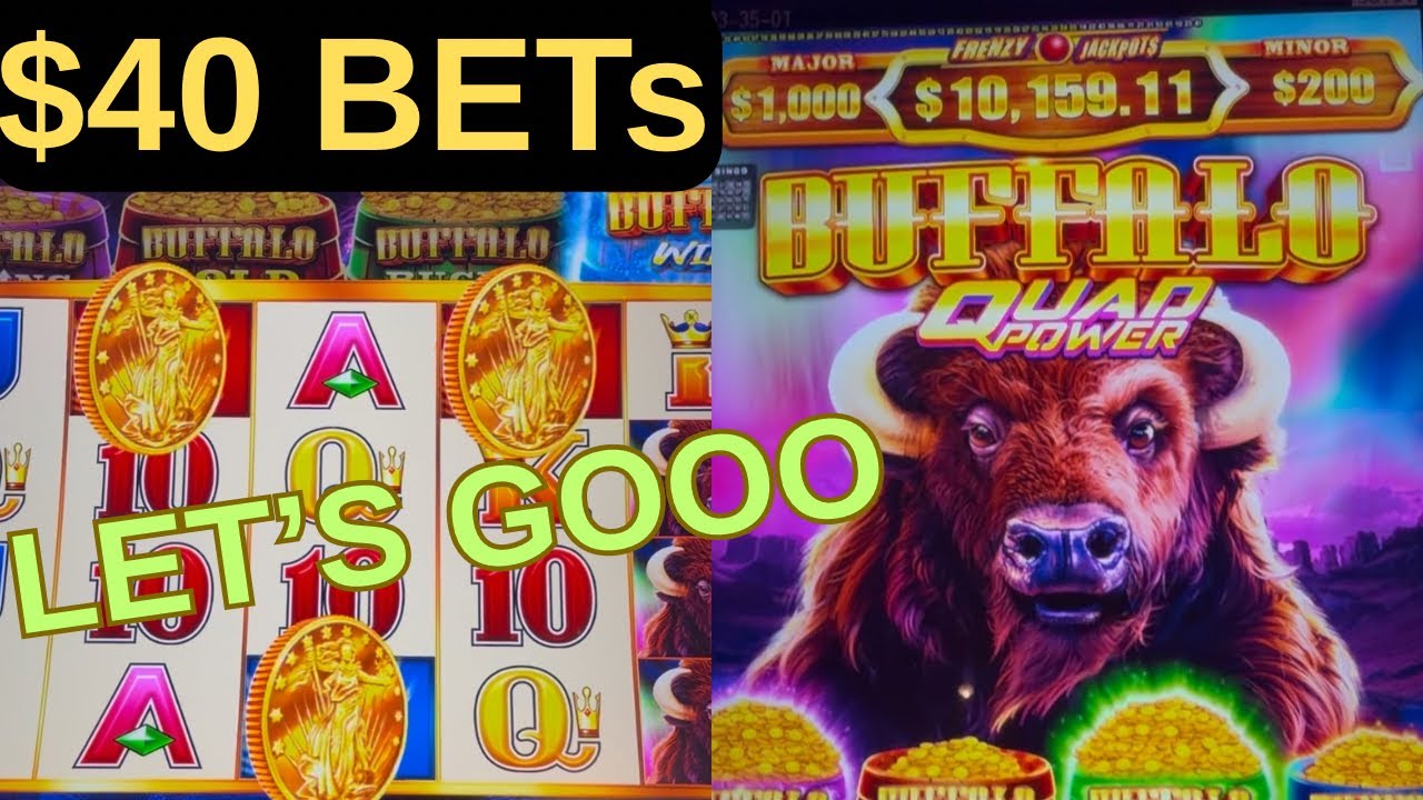 $40 Max Bet Jackpots On BUFFALO QUAD POWER 🦬 