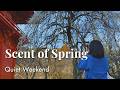 🌸Early Spring Walk &amp; Local Food | My Weekend with Hokkaido Souvenirs🍷