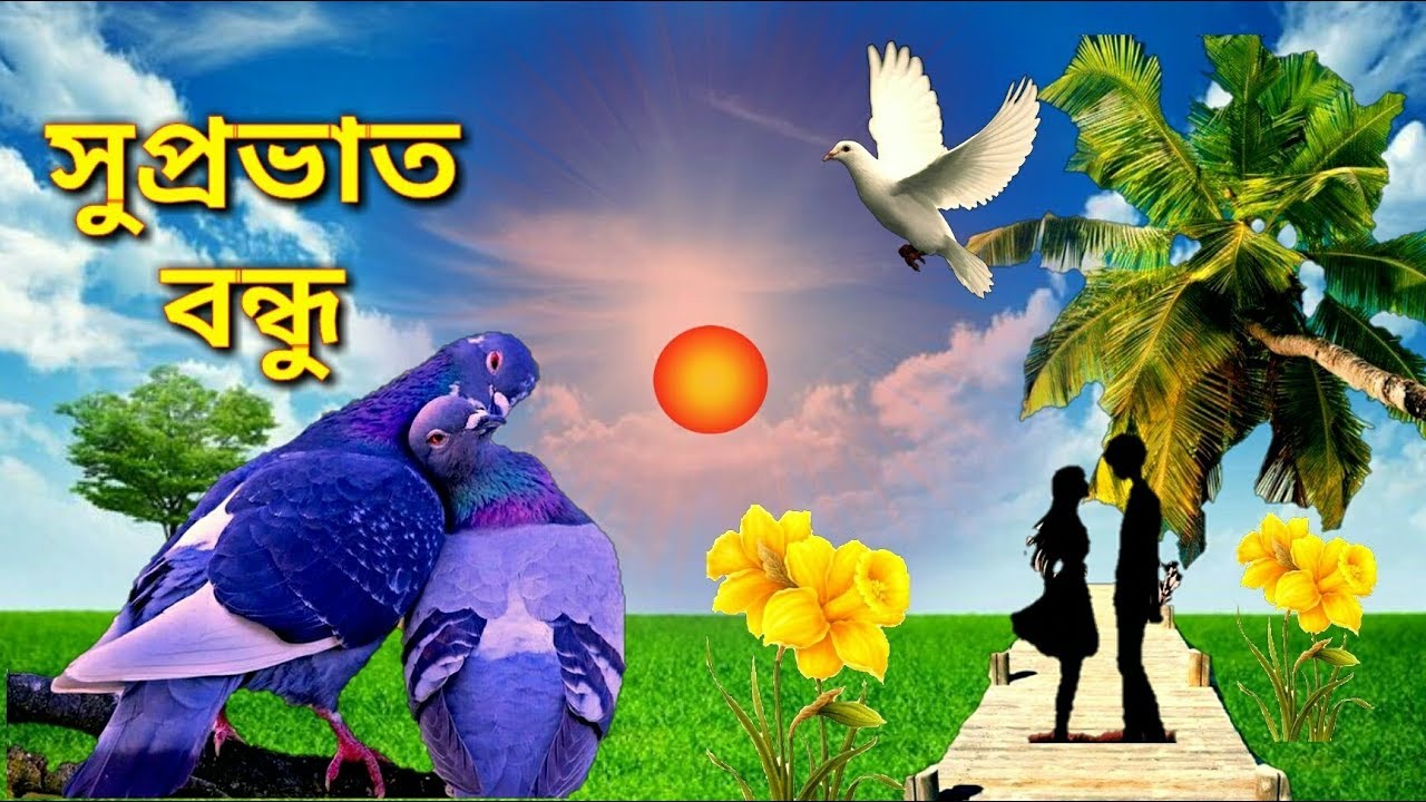 Bengali Good Morning Video Beautiful Morning Wishing Video