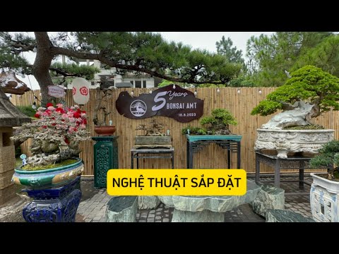 CLB BONSAI AMT - KHÔNG GIAN TRƯNG BÀY THEO PHONG CÁCH NHẬT BẢN RẤT ẤN TƯỢNG NHIỀU TÁC PHẨM ĐẸP