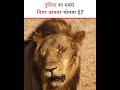 Which is the most fearless animal in the world? | दुनिया का सबसे निडर जानवर कोनसा है? - #shorts