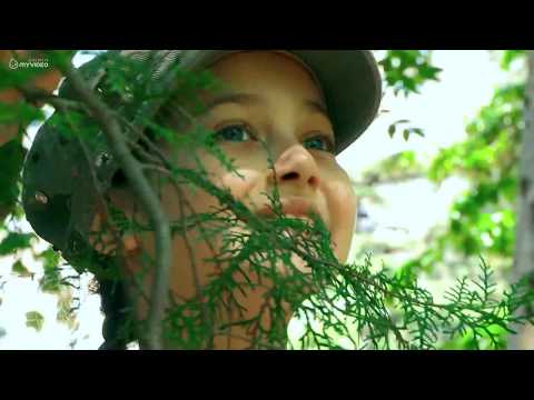 მათ ესმით