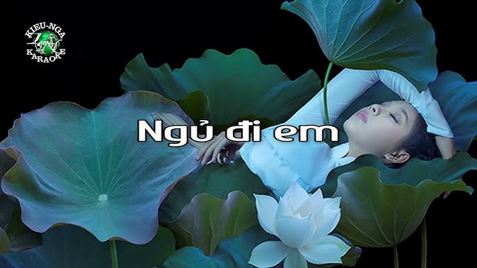 Ngủ đi em - Karaoke tone Nam