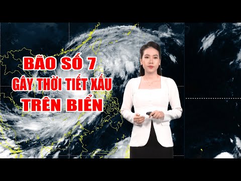 Thời tiết 30/10: Thời tiết Quảng Ngãi ngày mai?  | Bão số 7 gây thời tiết xấu trên biển | PTQ
