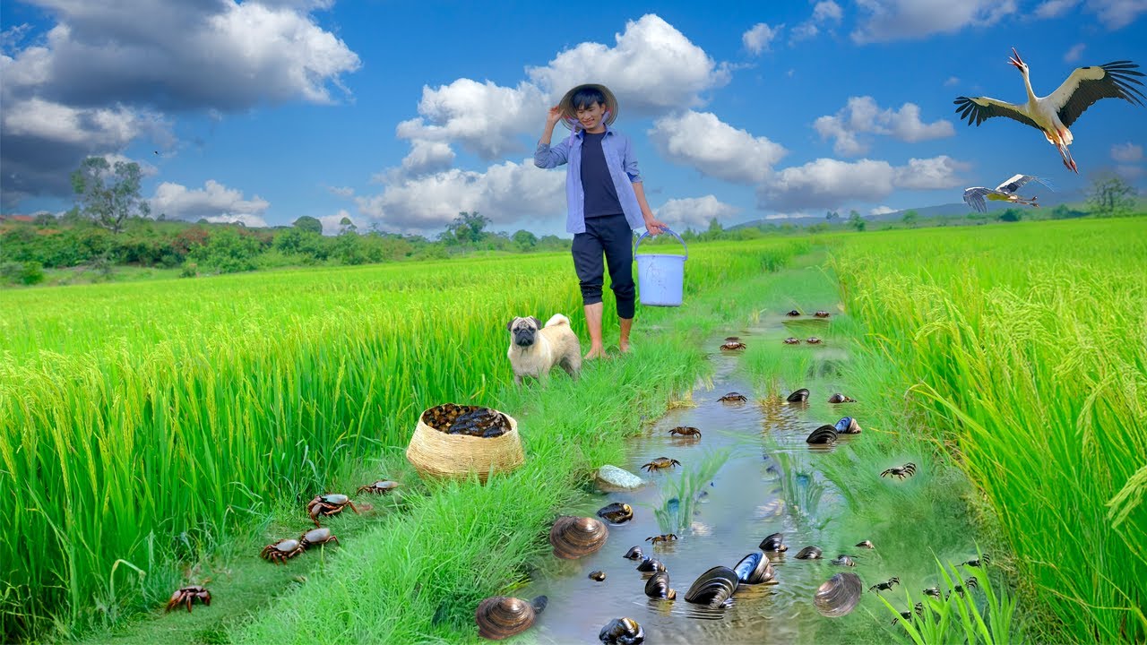 CEO Leave The City: Harvest Crabs, Snails, And Clams To Cook Childhood Dishes, Plants Vegetables.