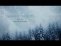 Vladimir Zelentsov - Silence of The North