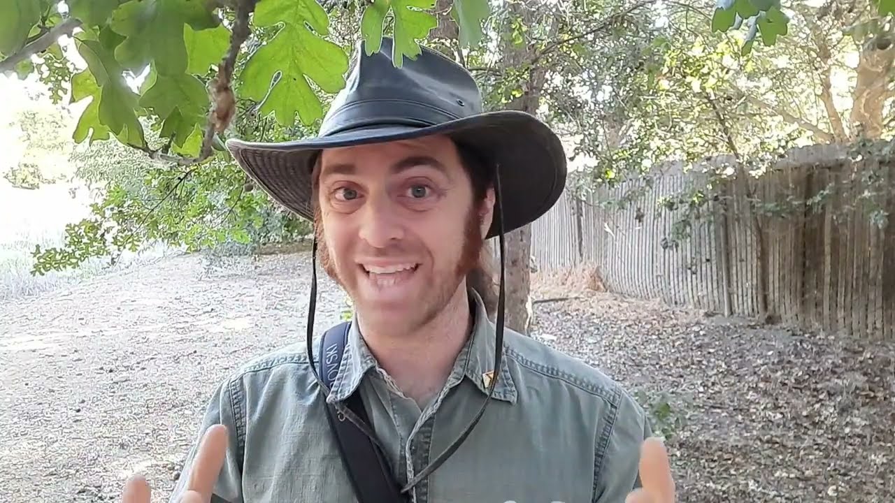 Homosexuality in Nature