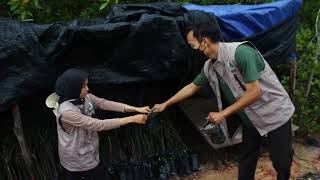 Teknik Pembibitan dan Penanaman Mangrove sebagai sarana Revegetasi Ekosistem Mangrove Kel. Dompak