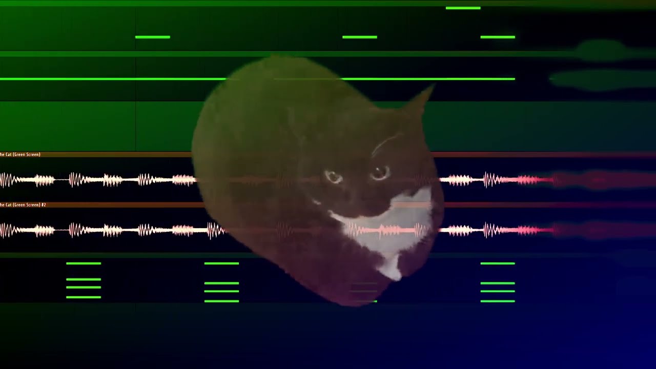 MAXWELL THE CAT TYPE BEAT (Maxwell Drip) TheRogurt YouTube